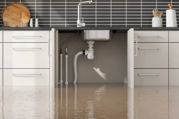 Water damage restoration mold remediation in Leisuretowne, NJ