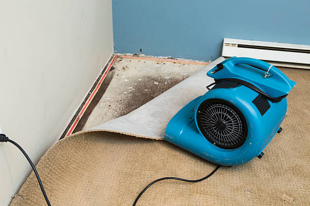 Carpet water damage restoration in Leisuretowne, NJ